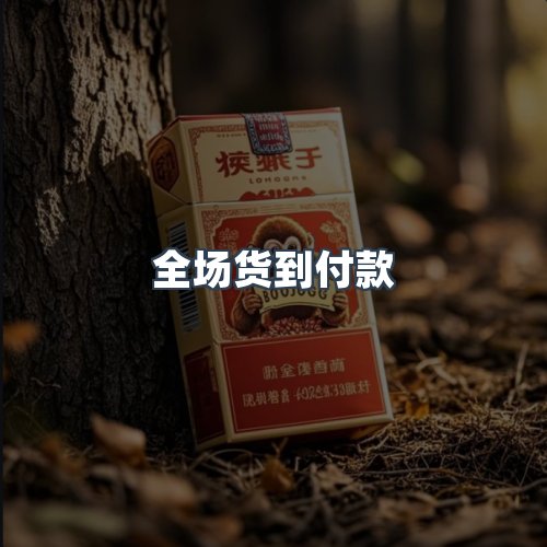 服务优势